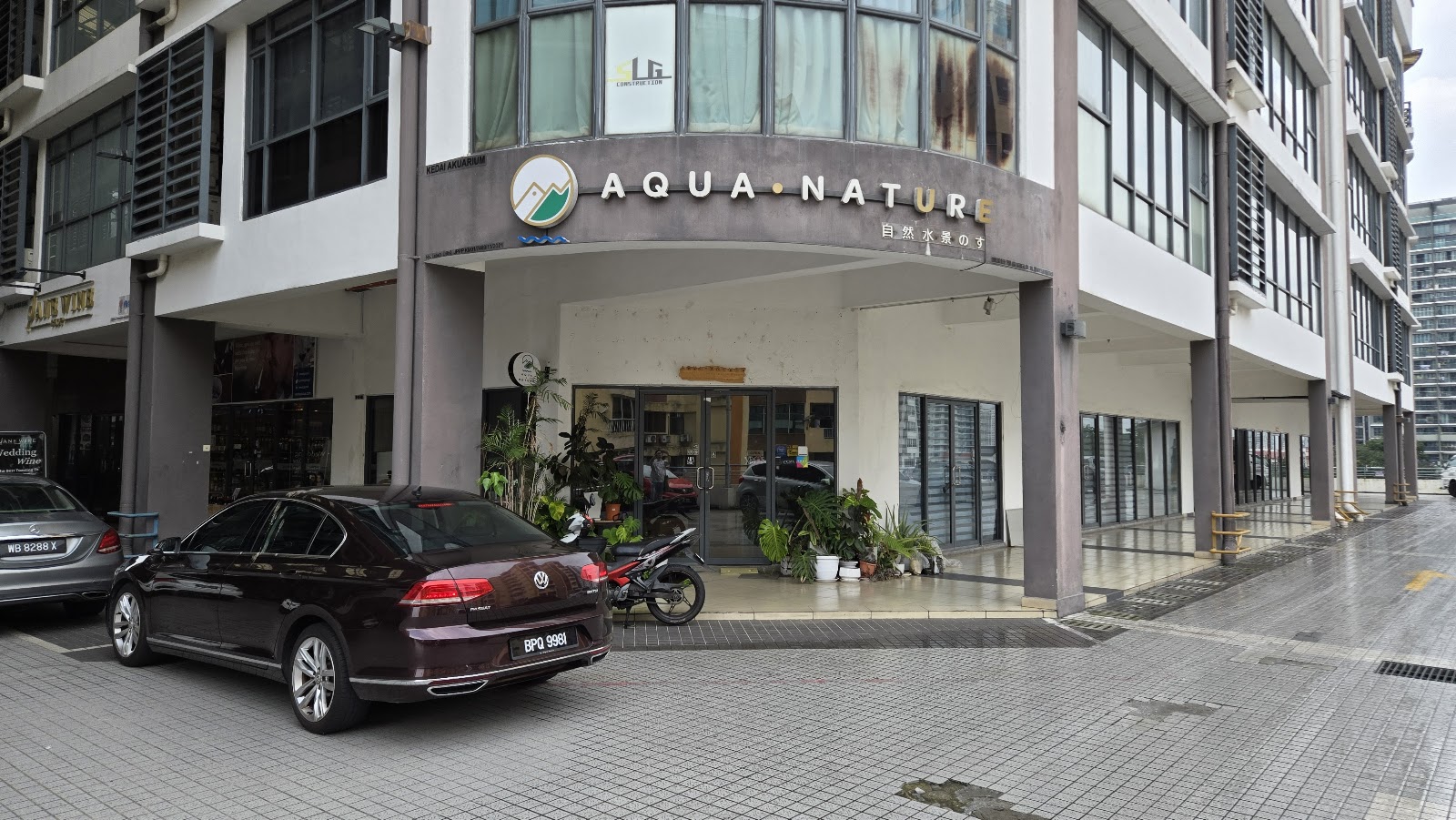 Aquascape Paradise