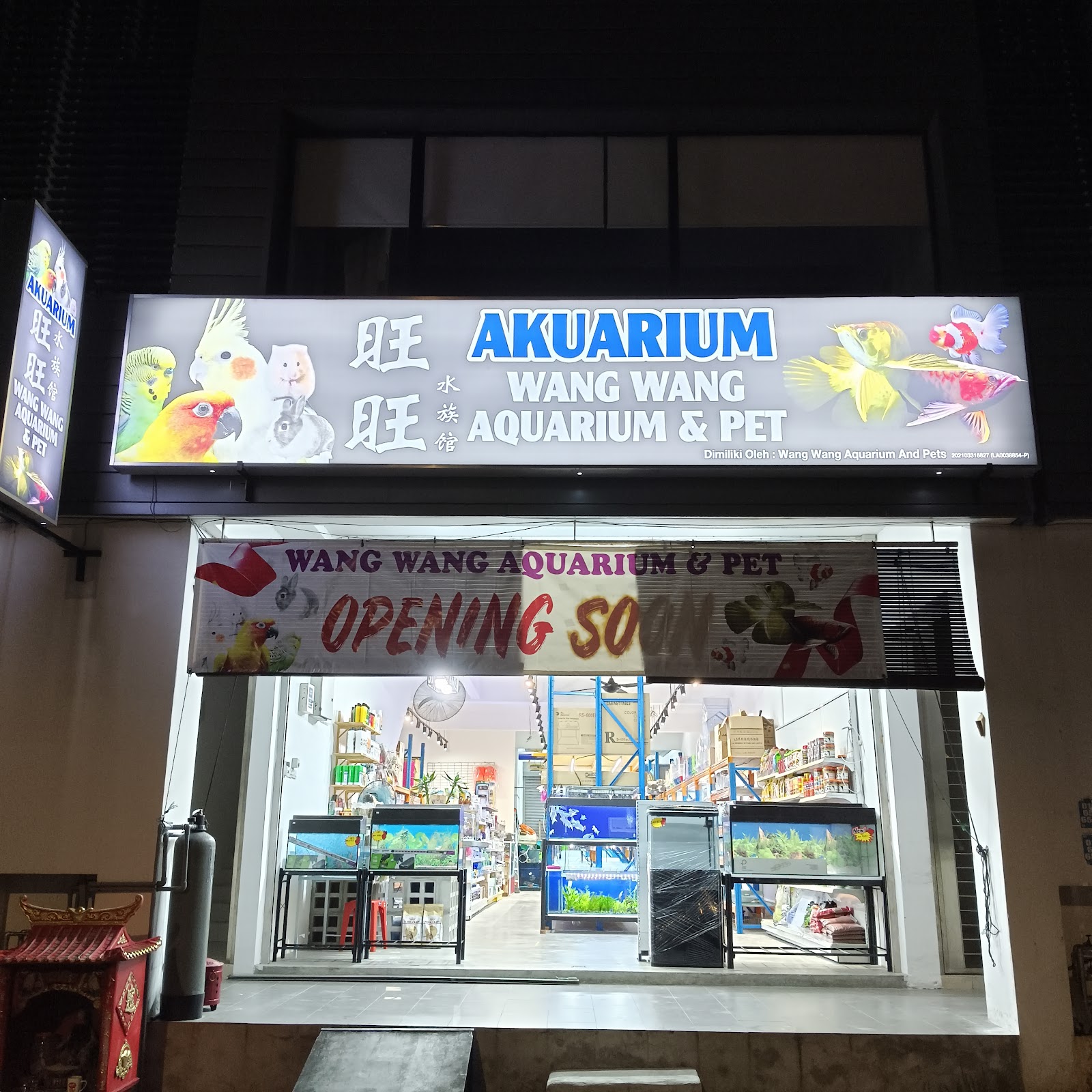 Wang wang aquarium and pets旺旺水族馆
